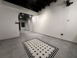 Lucky Plaza (D9), Shop House #526878251